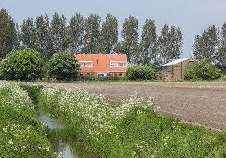 B&B "Kransenhof" in Ouwerkerk