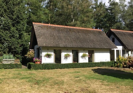 B&B Landgoed "Driebelterveld" in Markelo